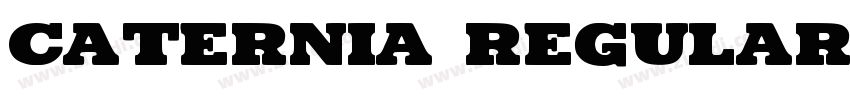 Caternia Regular字体转换